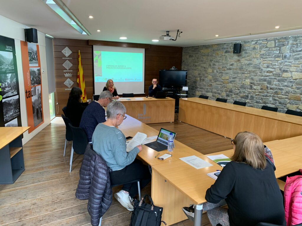 La presentació de l'OSPE al Consell Comarcal de l'Alta Ribagorça